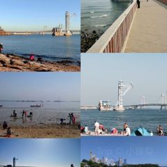 ROYAL OCEAN User Photo