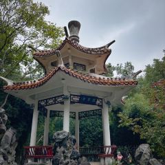 TONG QING LOU 여행 사진