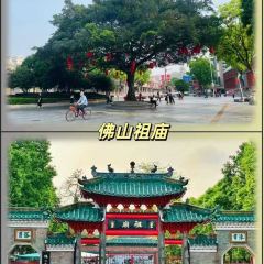 FengCheng ShuangPi Nai User Photo