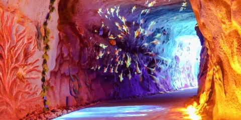 蒙陰縣地下銀河旅遊景區