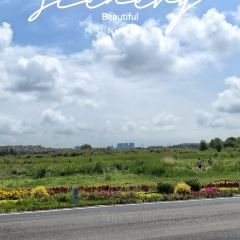 马守疆包头老馆子 User Photo