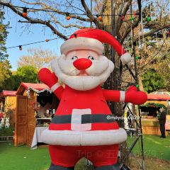 QINGDAO MEET MILANO User Photo