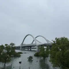 信記蝦餅張用戶圖片