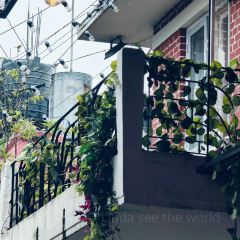 Amigos Cafe張用戶圖片