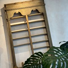 Dacomecca張用戶圖片