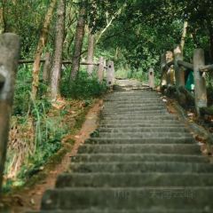 漢堡王(惠陽星河店)張用戶圖片