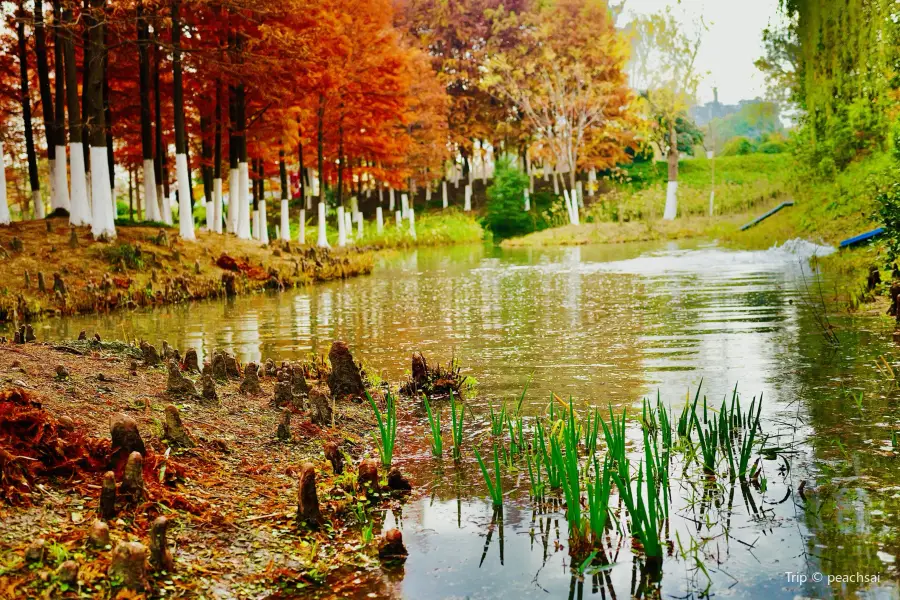 Dingtanghe Wetland Park