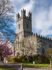 Cathédrale Sainte-Marie de Limerick