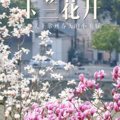 麥當勞（常州西瀛裡店）張用戶圖片