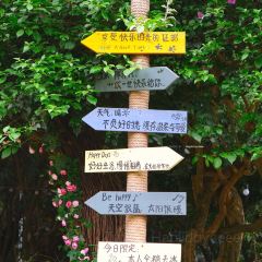 大姑母农庄 여행 사진