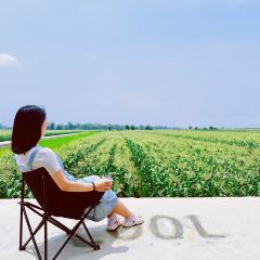 甘英泡鸡脚店 User Photo