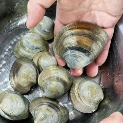 四海鲜蒸·海鲜大咖(南澳美食热卖店) User Photo