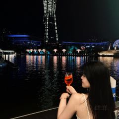 Spy & Smuggler張用戶圖片