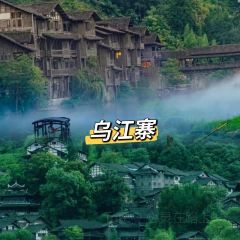 炎黃茶館張用戶圖片