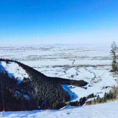 艾文咖啡屋 User Photo