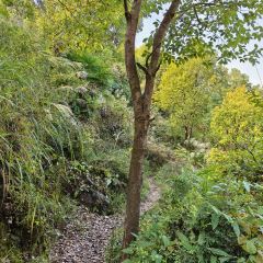 山涧别院 User Photo