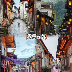 福喜特色粉面 User Photo