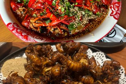 和刘馄饨