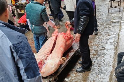 MA SAI SHAO KAO YUAN