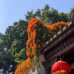 醉仙樓（烏山路店）張用戶圖片