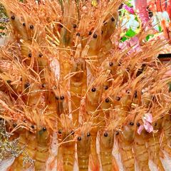 极上萬膳·自助放題(来福士江景店) User Photo