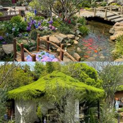 DONGLI ORIENT COURTYARD User Photo