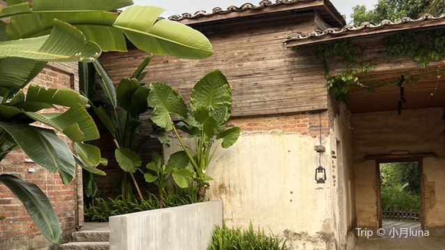 lan men kang yang gu cun