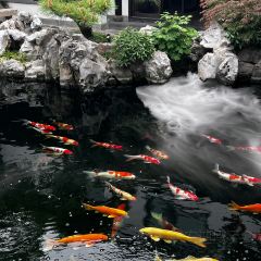 PINGJIANGSONG SUZHOU CUISINE IN GARDENS User Photo