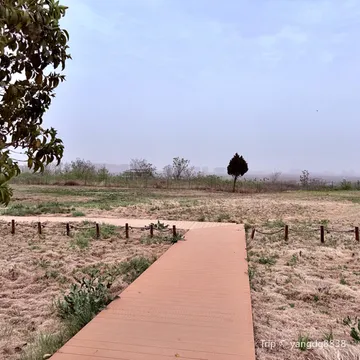 qin xian yang cheng xian yang gong guo jia kao gu yi zhi gong yuan