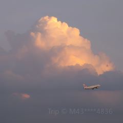 简聿咖啡 User Photo