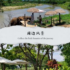 Elefin Farm & Cafe เอเลฟิน ฟาร์ม แอนด์ คาเฟ่ User Photo