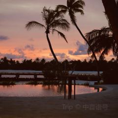 Fari Beach Club User Photo