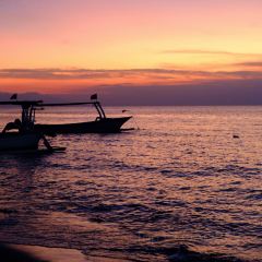 Layar Seafood Manyar Kertoarjo User Photo