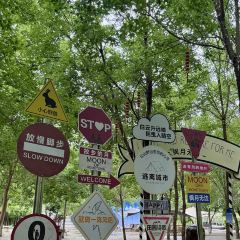 九女峰書房張用戶圖片