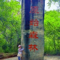 HA JIU HAI User Photo
