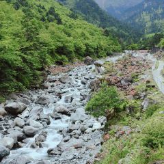 梅子山庄·土司宴 User Photo