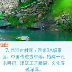 WEN XIN CHA ZHUANG YUAN User Photo