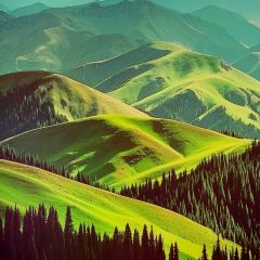 Kaysar User Photo
