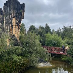 石林杏林大观园樱花峪药膳坊餐厅 User Photo