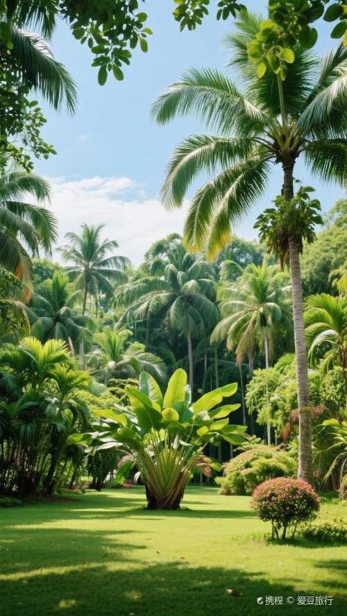 nan qiang jie xiang mei shi · ye shi