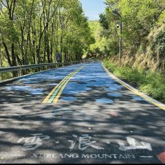 半两·咖啡书店·浮生是杯酒 User Photo