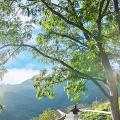 LOBSTER MONSTRE 여행 사진