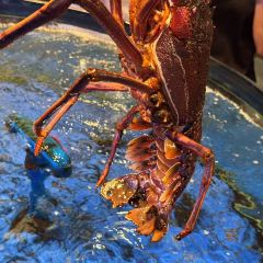 天天农家风味餐馆 User Photo