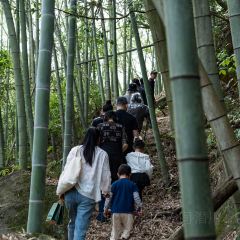 杭州明月松间·潜川酒店·最林泉 User Photo