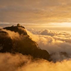 MAO MAO HAN User Photo