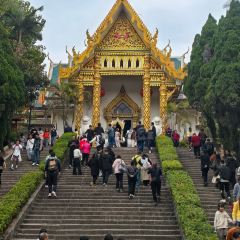 ZHENQIANJIE FERMENTED BEAN CURD CHICKEN WINGS User Photo