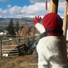 夜雨餐厅 User Photo