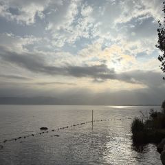 西波魚莊張用戶圖片