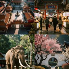 YU YAN LOU User Photo