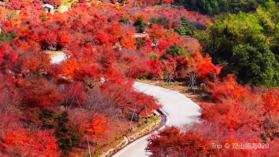 Blue Valley Ecotourism Resort